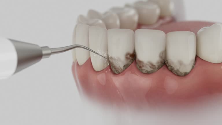 Reliable Dental contractor in York, AL by Dentist Open Now